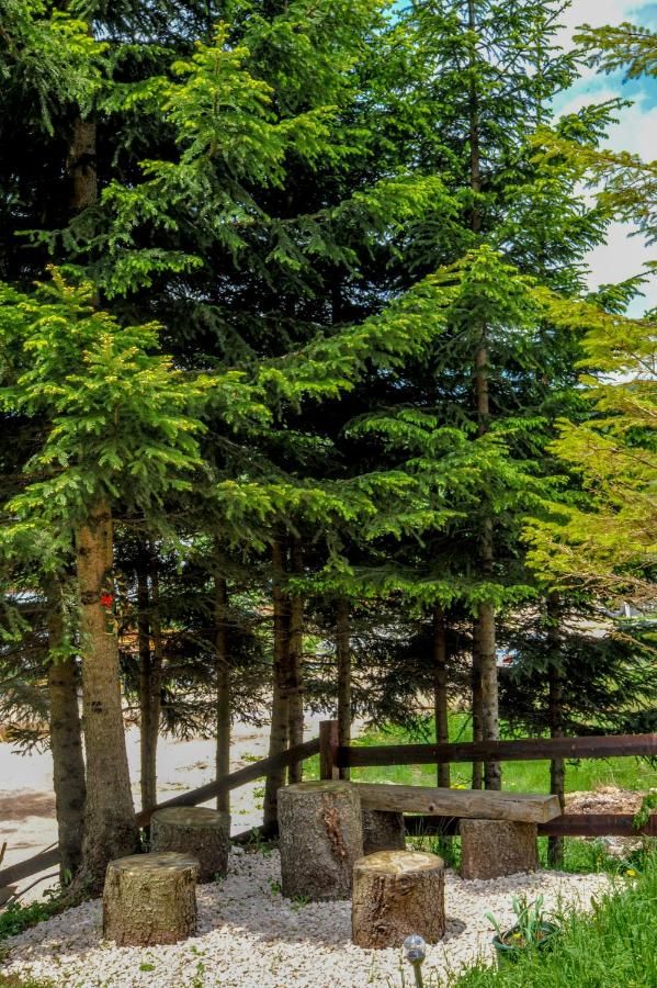 Гостевой дом Guesthouse Escapade Жабляк-26